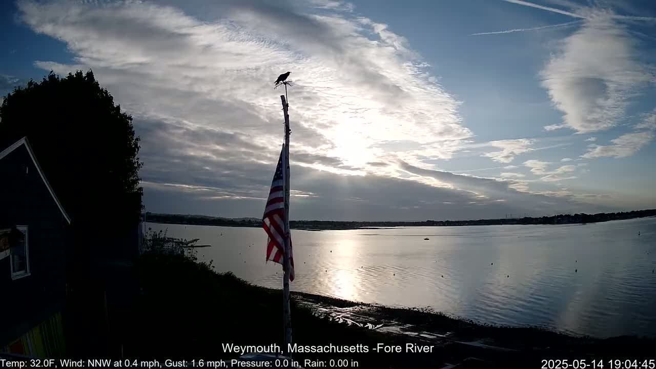 A bird perches atop a flagpole displaying an American flag, overlooking a calm river under a partly cloudy sky.