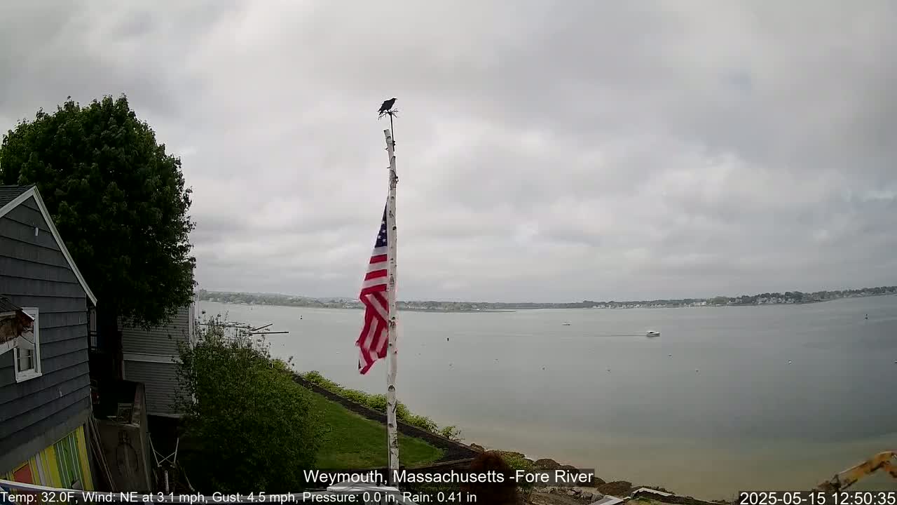 A mostly cloudy day shows an American flag hanging from a pole, a bird perched atop it, and a view of a calm body of water with a few boats visible in the distance.
