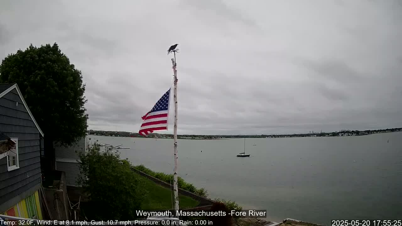 A slightly overcast day reveals a view of a calm body of water with a sailboat, a flagpole with an American flag and a bird on top, and a house partially visible to the left.