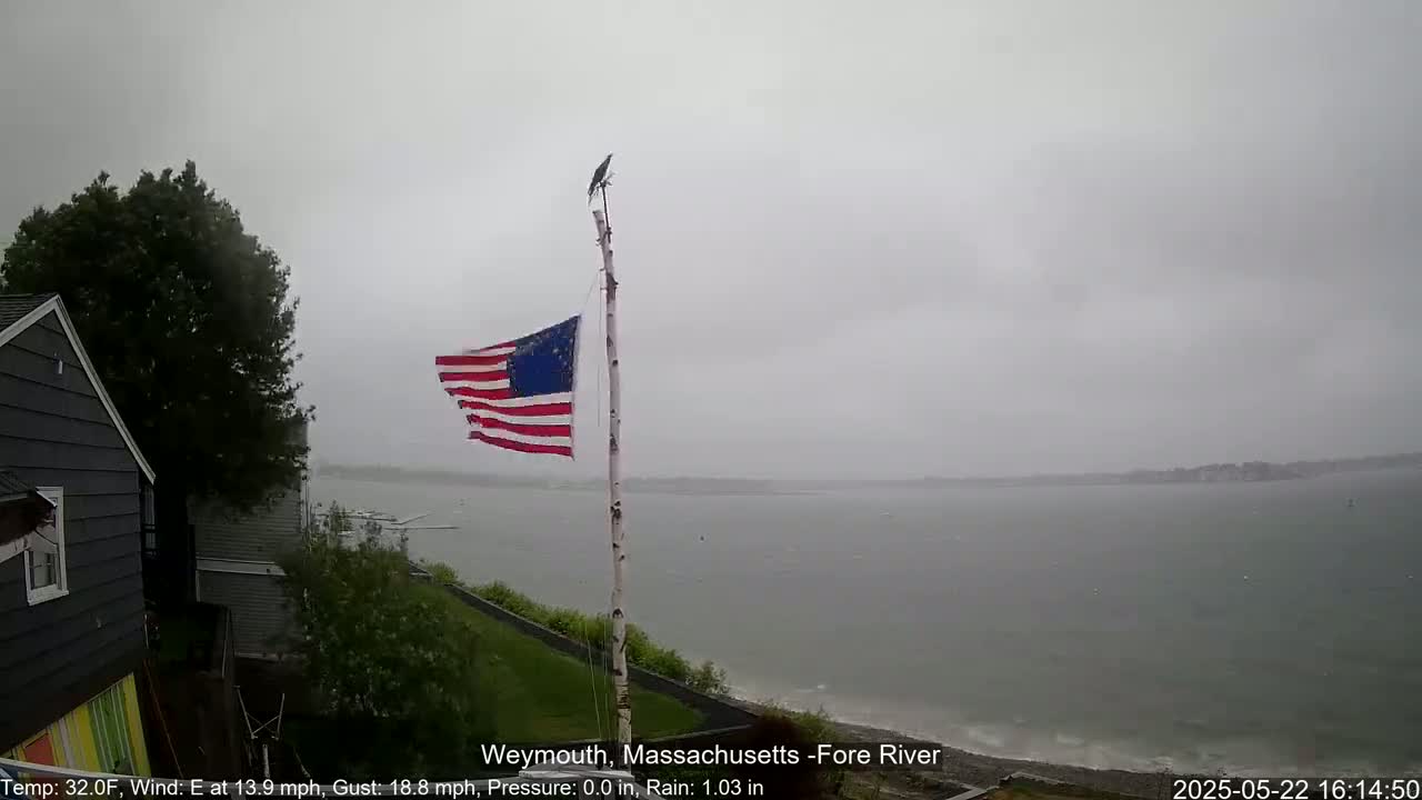 A weathered American flag flies from a birch post overlooking a grey, rainy waterfront with a bird perched atop.