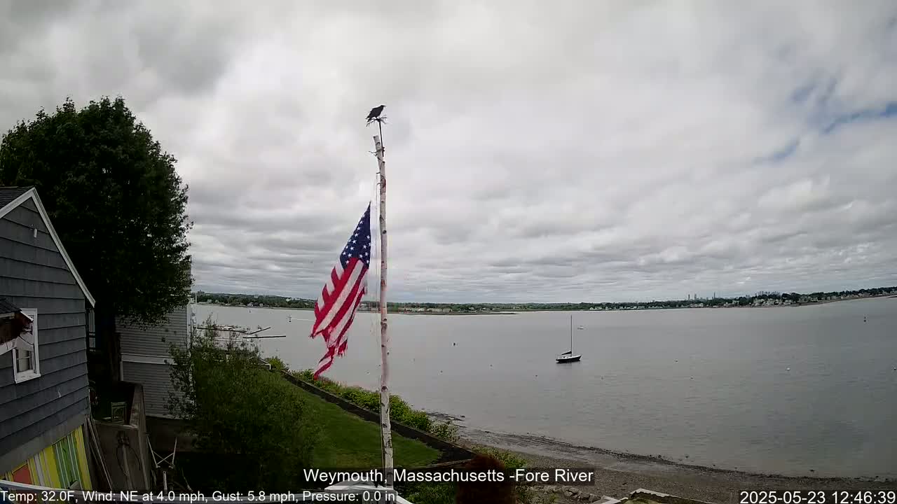 An overcast sky hangs over a calm river, where a sailboat is visible in the distance, with a bird perched atop a flagpole displaying a tattered American flag near a house.