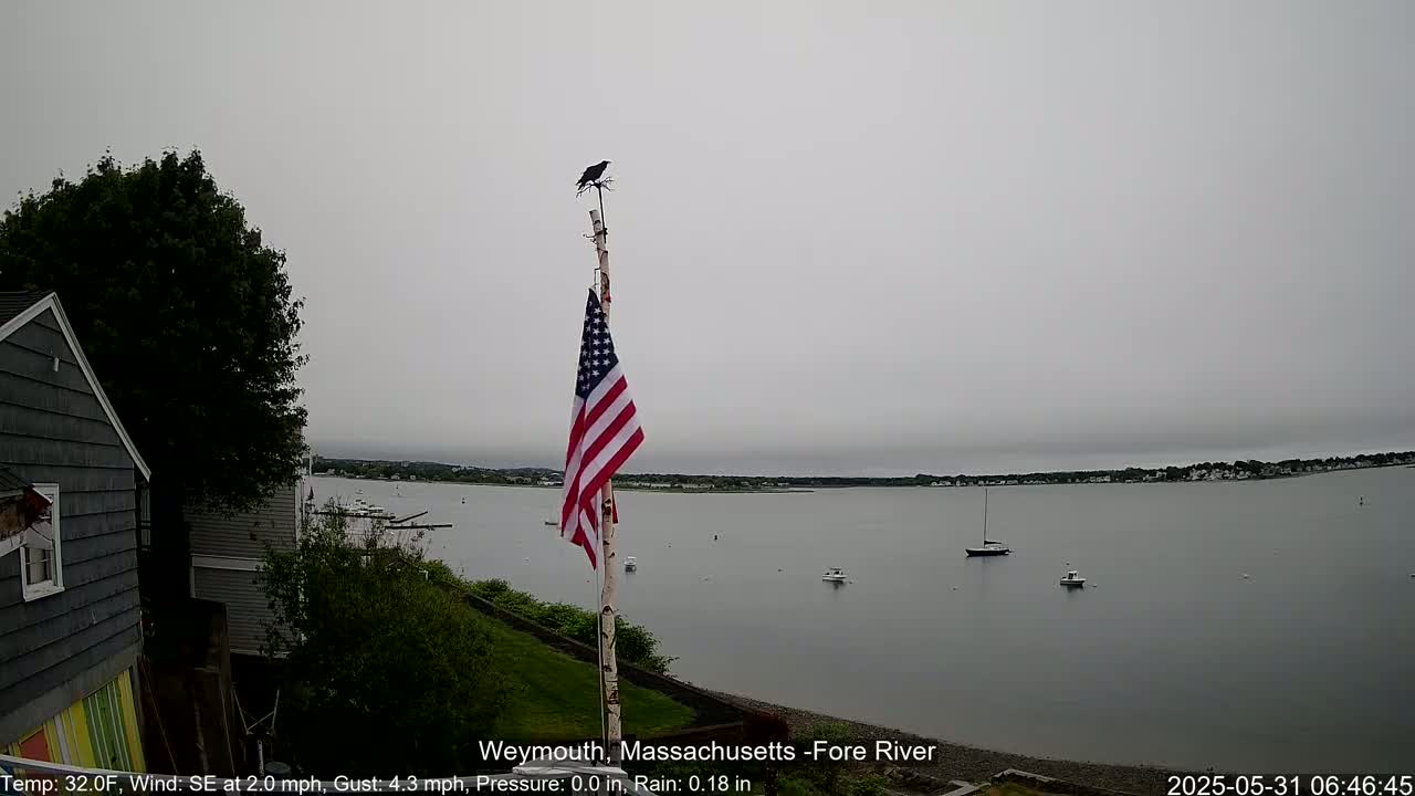 A bird perches atop a flagpole displaying an American flag overlooking a calm, overcast body of water with several small boats, and a house is partially visible in the foreground.