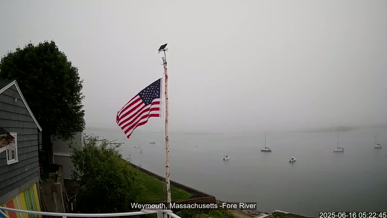 A foggy view of a body of water with several sailboats, seen from a vantage point with an American flag flying on a pole, a bird perched atop it, and part of a gray house visible.