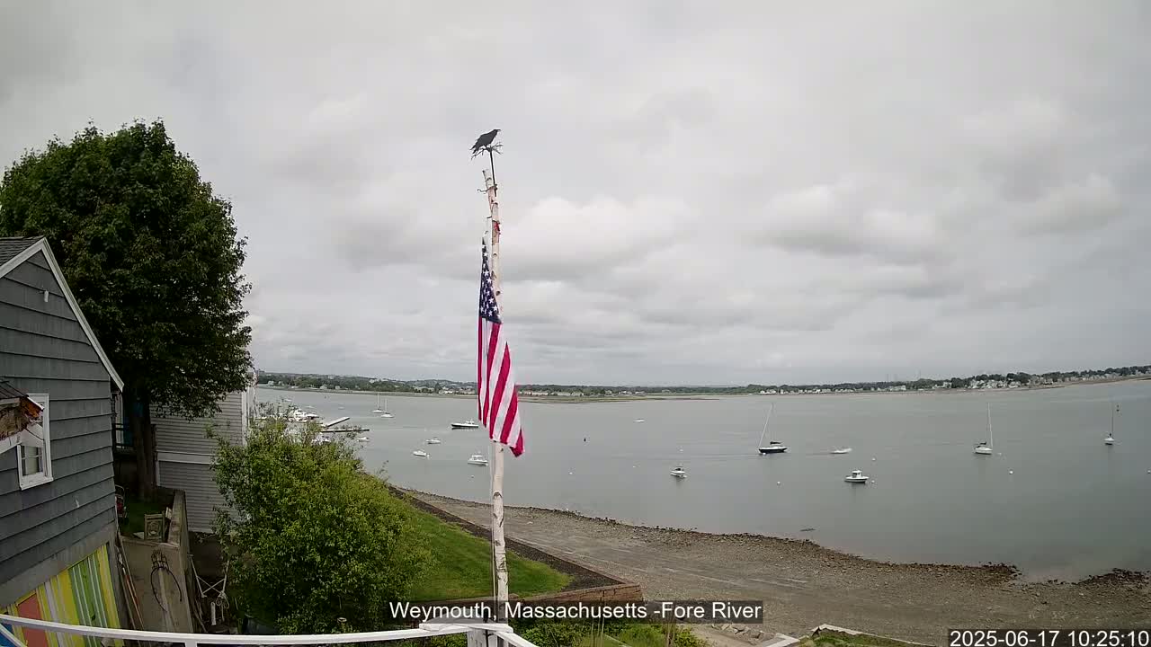An overcast day shows a body of water with several sailboats, a shoreline with patchy grass, and a house partially visible behind a lush green tree, all seen from a vantage point with an American flag on a pole.
