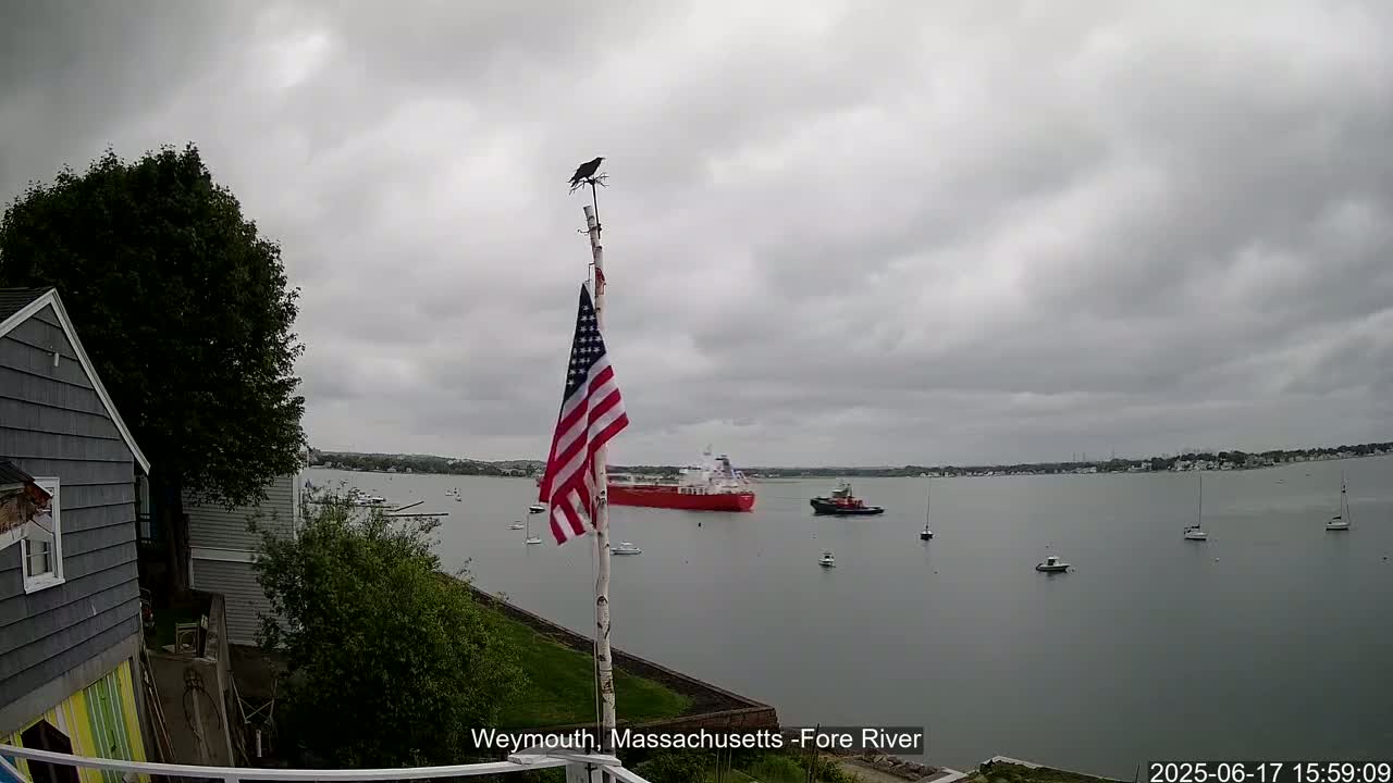 A large red ship passes by smaller boats on a gray, overcast day, with an American flag and a bird perched atop a pole in the foreground.