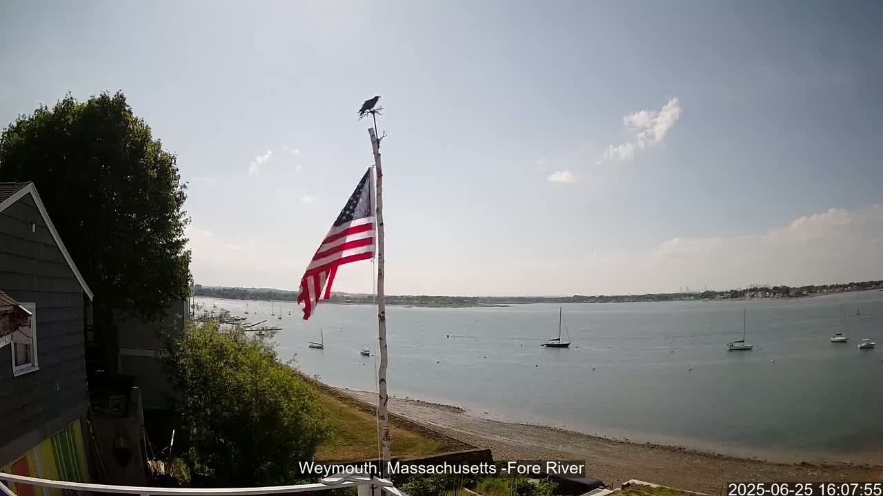 Fore River Live Cam- Weymouth, Massachusetts, USA