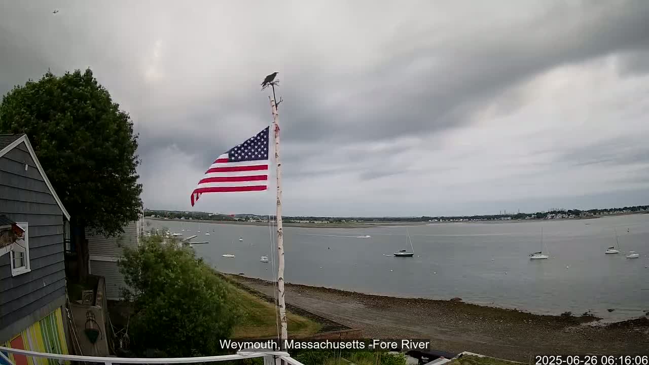 Fore River Live Cam- Weymouth, Massachusetts, USA