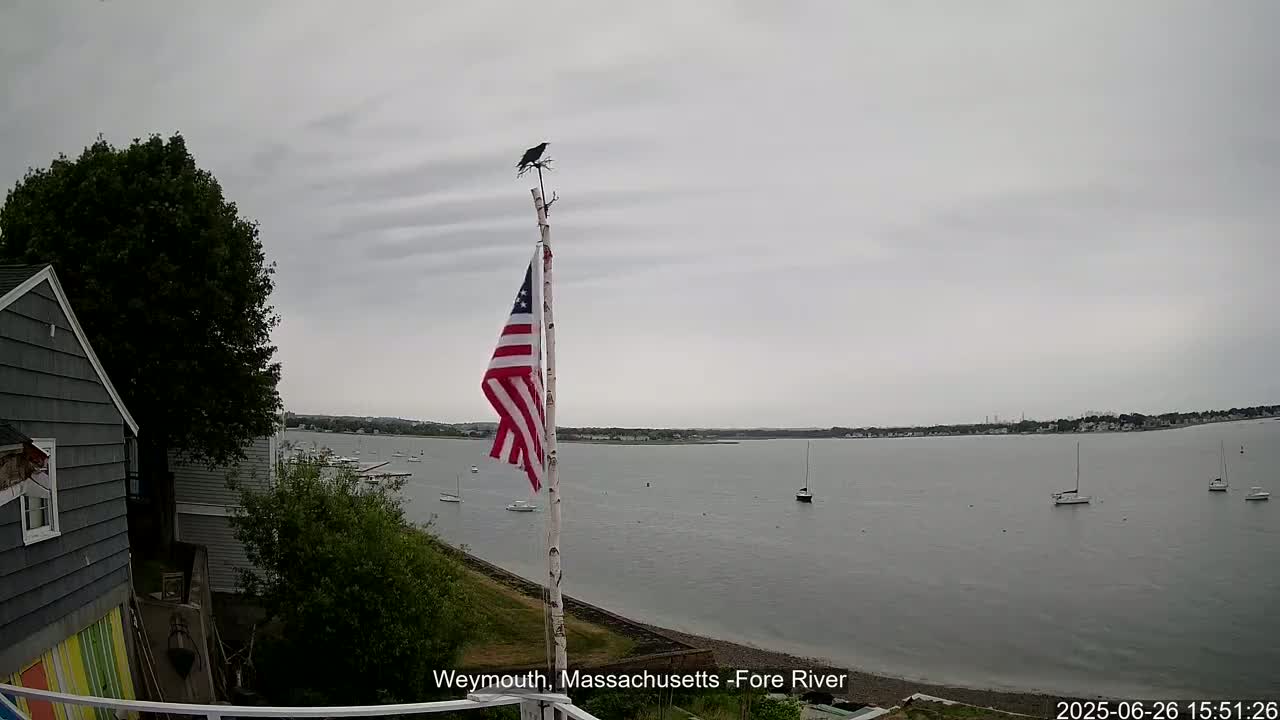 Fore River Live Cam- Weymouth, Massachusetts, USA