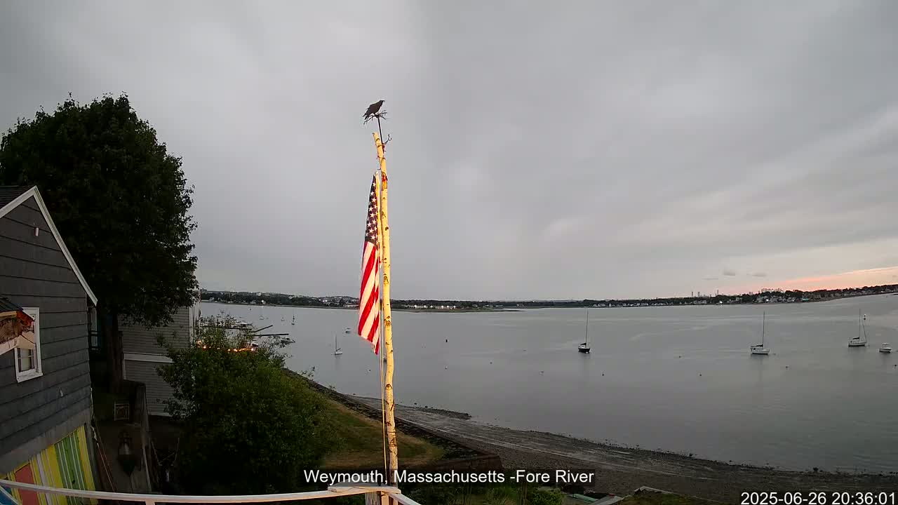 Fore River Live Cam- Weymouth, Massachusetts, USA