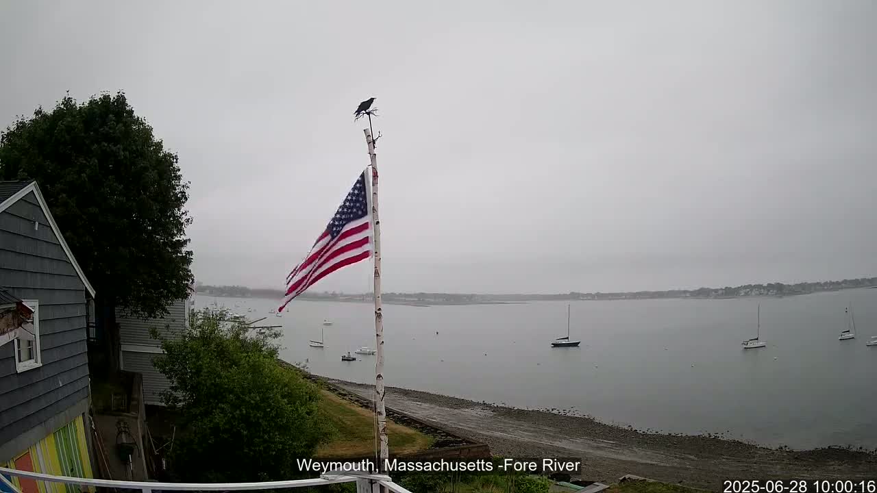 Fore River Live Cam- Weymouth, Massachusetts, USA