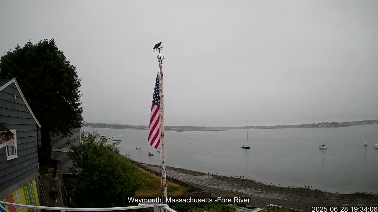 Fore River Live Cam- Weymouth, Massachusetts, USA
