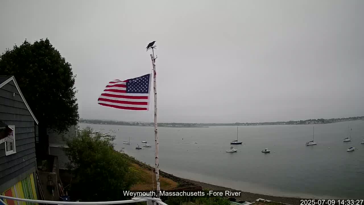 Fore River Live Cam- Weymouth, Massachusetts, USA