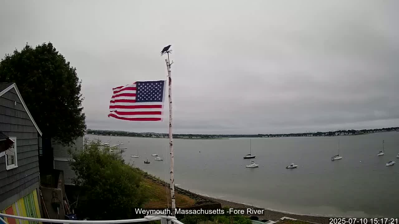 Fore River Live Cam- Weymouth, Massachusetts, USA