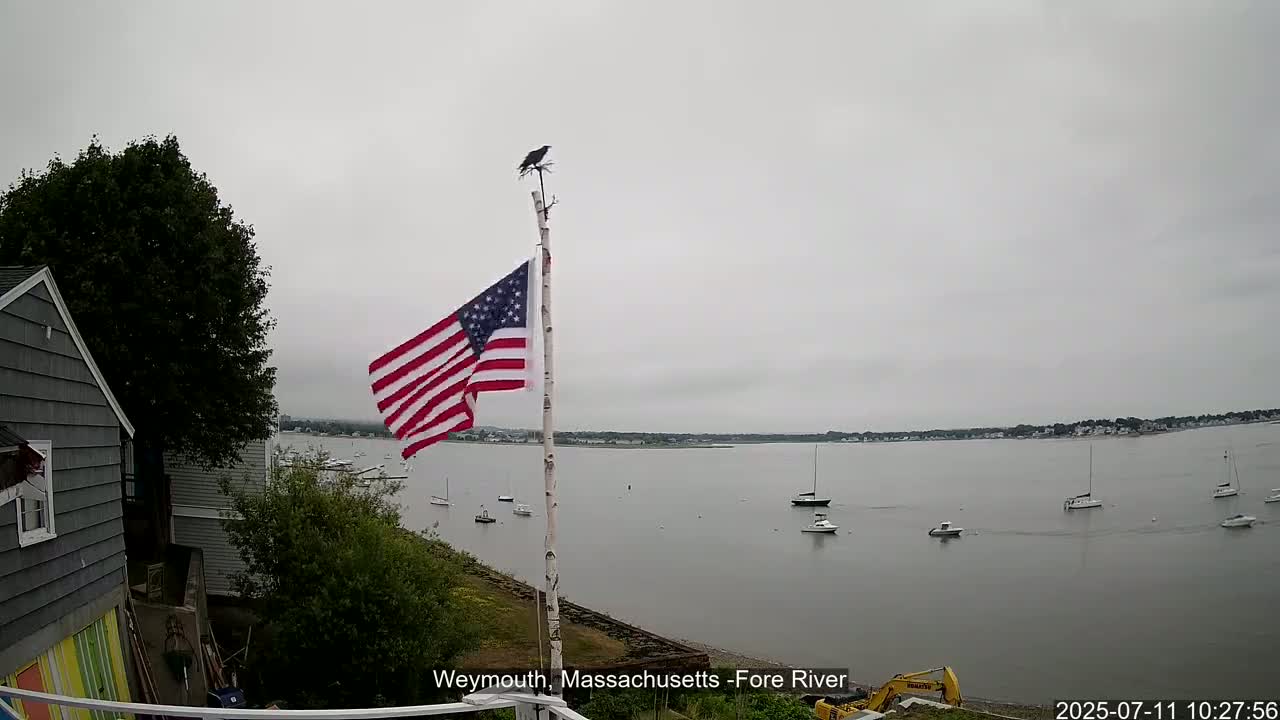 Fore River Live Cam- Weymouth, Massachusetts, USA