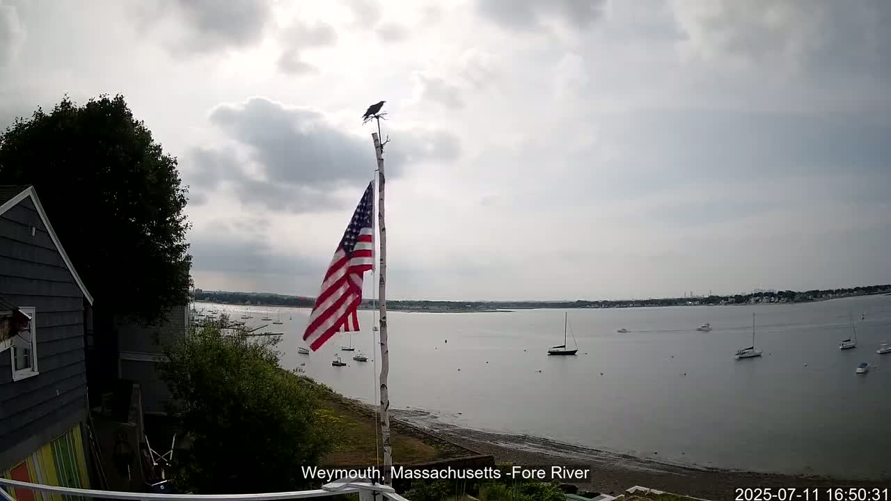 Fore River Live Cam- Weymouth, Massachusetts, USA