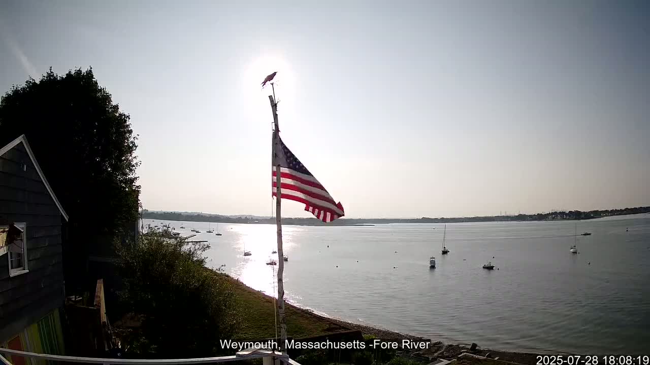 An American flag flies on a pole overlooking a calm body of water with several boats, under a mostly sunny sky.