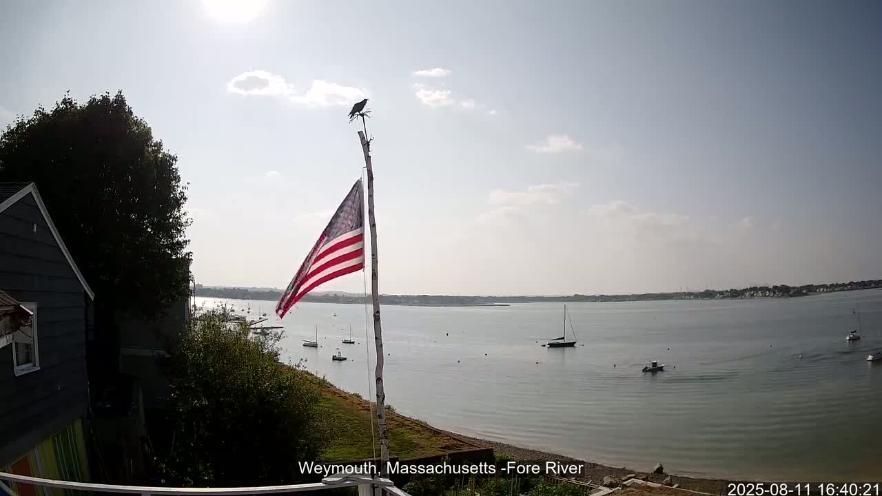Fore River Live Cam- Weymouth, Massachusetts, USA