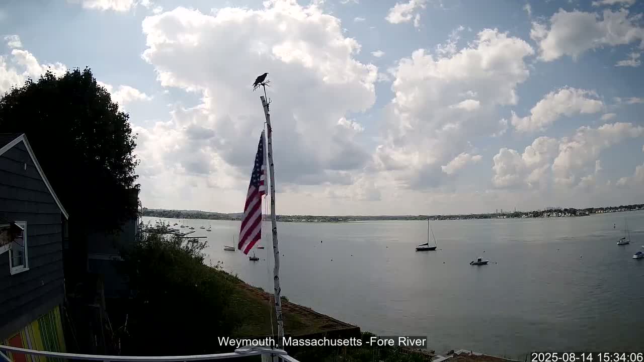 Fore River Live Cam- Weymouth, Massachusetts, USA