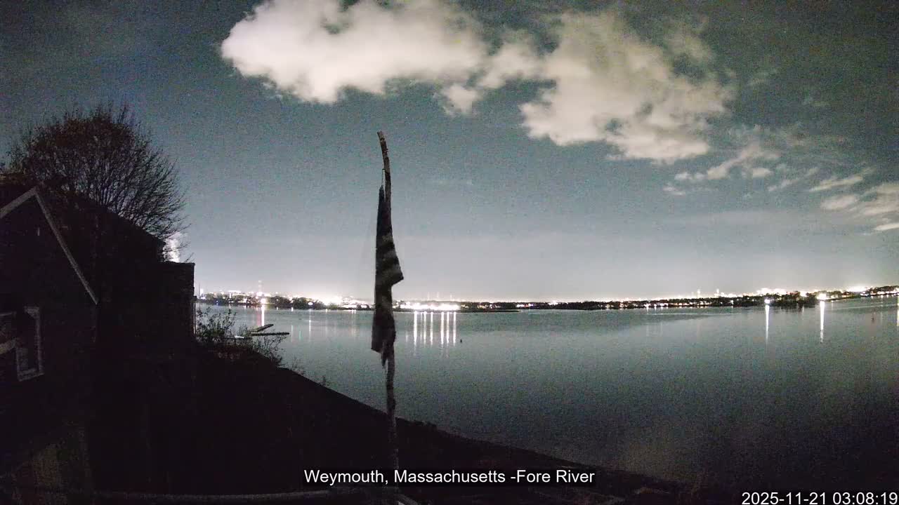 A nighttime view reveals a wide body of water reflecting distant city lights under a partly cloudy sky, with a dark building and bare tree silhouetted on the left and a tattered flag on a pole in the foreground.