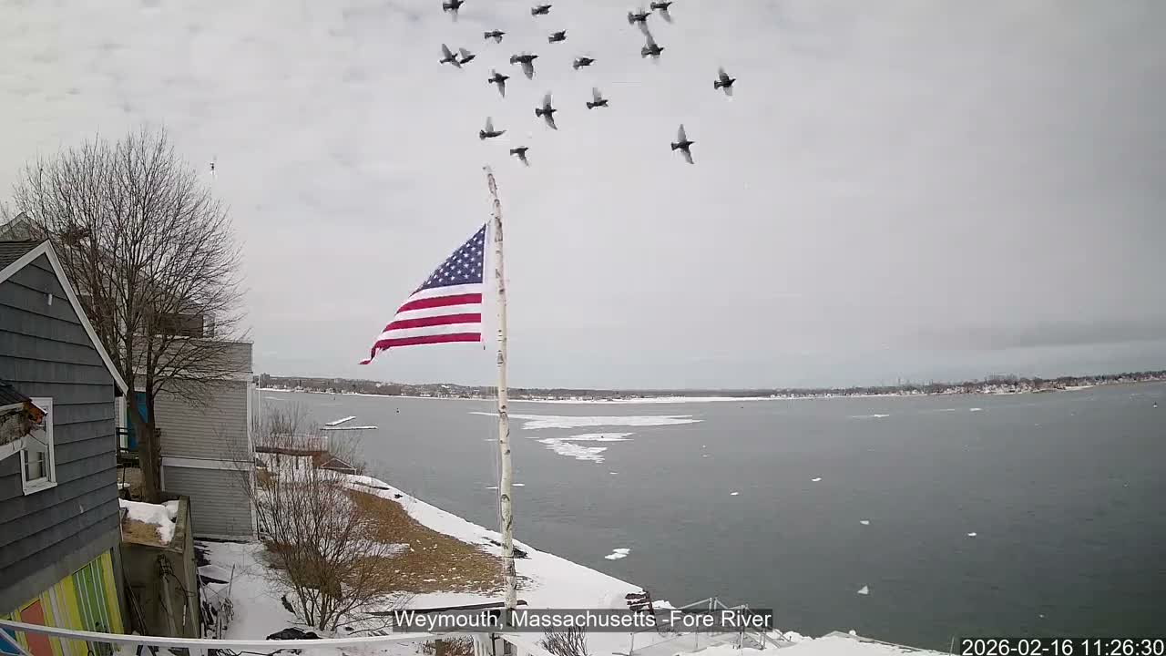 Fore River Live Cam- Weymouth, Massachusetts, USA