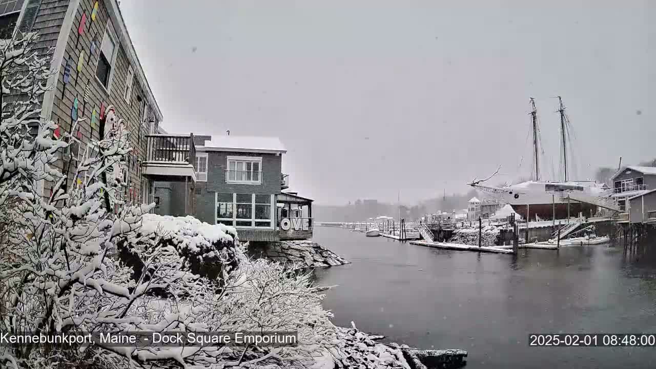 Snow falls on a waterfront scene with buildings, boats, and snow-covered vegetation.