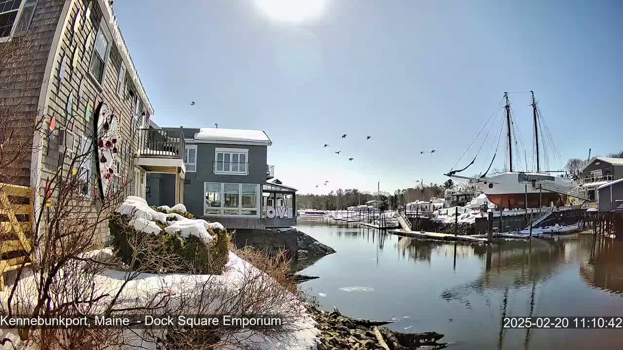 A sunny day with snow on the ground shows a waterfront scene with a large sailboat docked near buildings, and a flock of birds flying overhead.