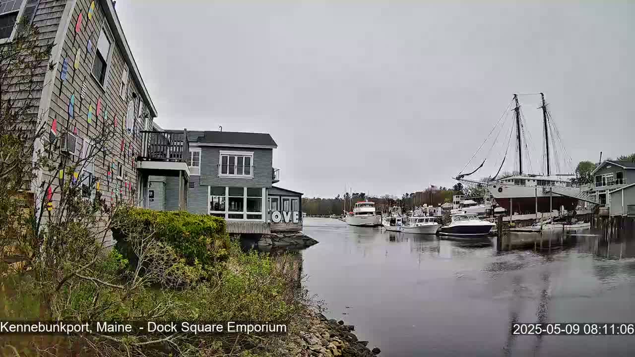 A waterfront view on an overcast day shows several boats docked along a waterway, with buildings and lush greenery along the shore.