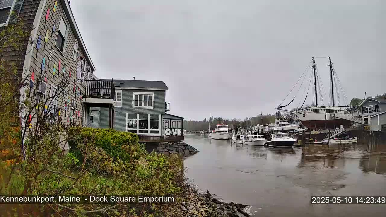 A waterfront scene on an overcast day shows several boats moored in calm water, with buildings and vegetation along the shore.