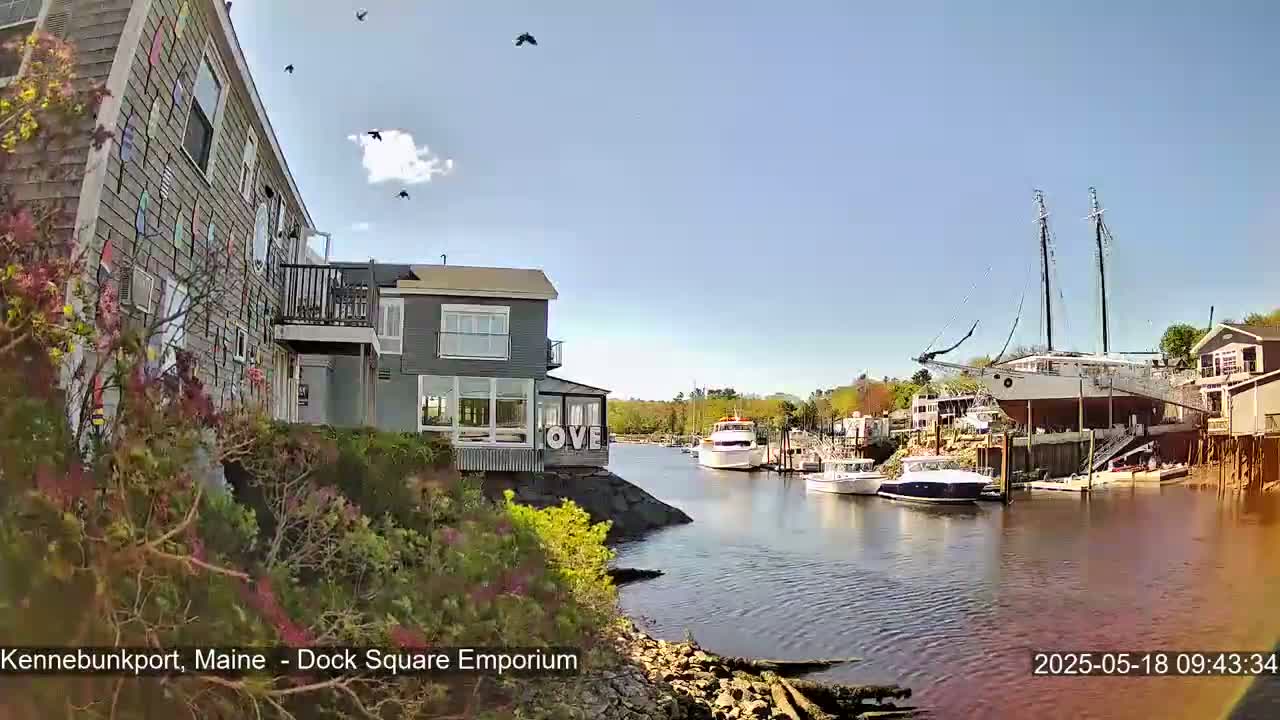 Several buildings line a calm waterway on a sunny day with a few birds flying overhead, and various boats are moored in the harbor.