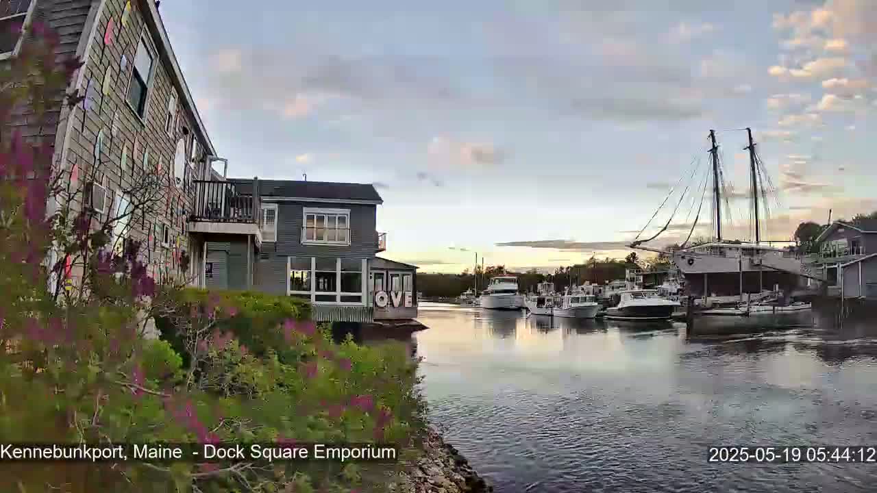 A calm waterway with several boats, including a large sailing vessel, is seen at sunset, beside buildings with flowering bushes in the foreground.