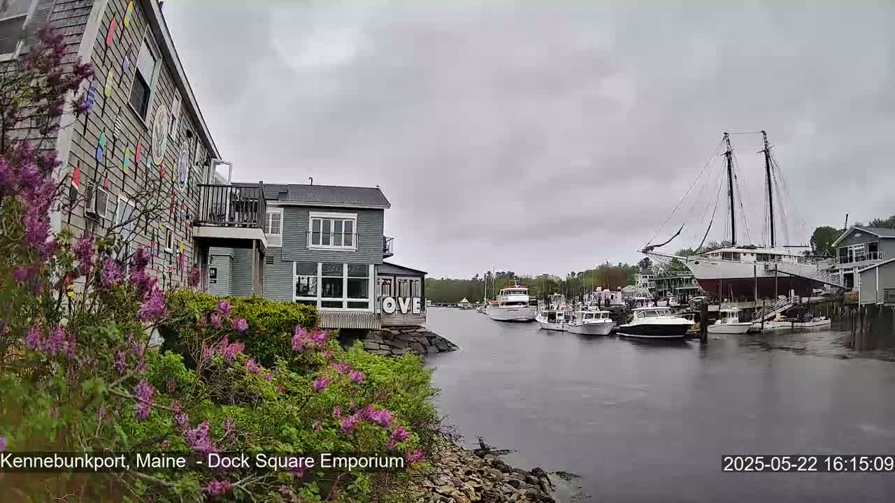 A waterfront scene on an overcast day shows a harbor with several boats, including a large schooner, alongside buildings with flowering bushes in the foreground.