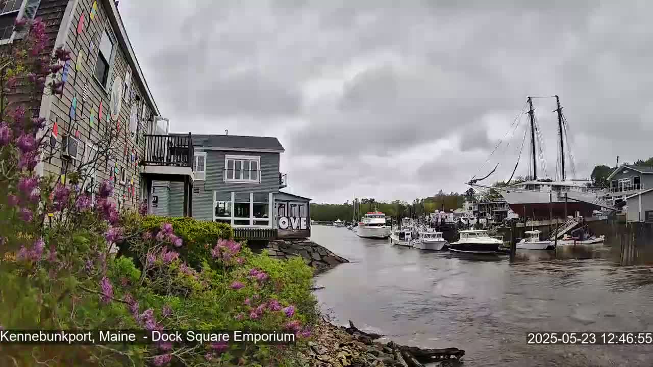A harbor scene on an overcast day shows several boats, including a large sailboat, moored near buildings with lilac bushes in the foreground.