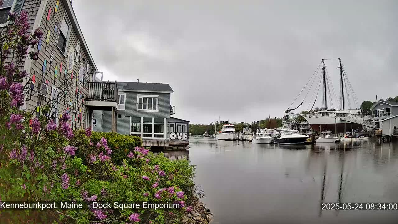 Lilac bushes bloom in front of a waterfront building under an overcast sky, with several boats and a large sailing ship moored in the harbor.