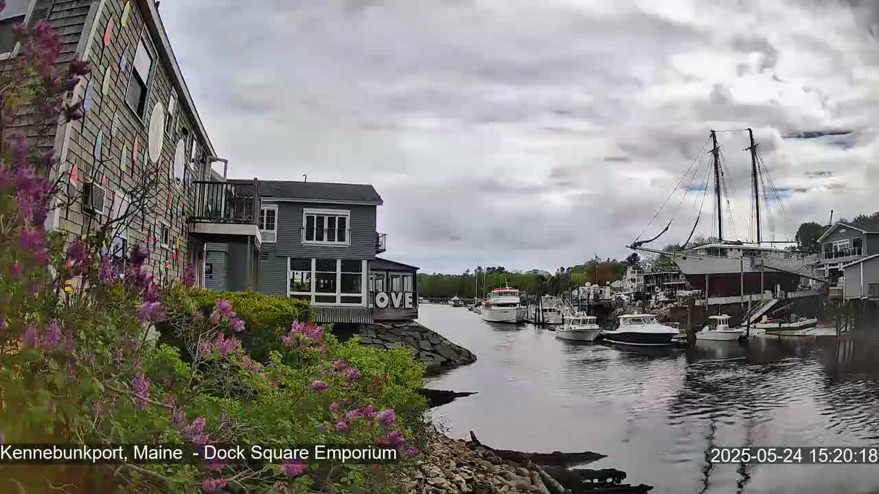 A waterfront scene on an overcast day shows a building decorated with colorful shapes next to purple flowering bushes, with boats and a large sailboat docked in a calm harbor.