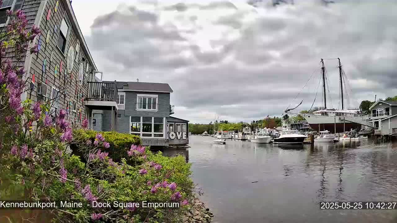 A calm harbor scene under a cloudy sky features several boats, including a large sailboat, docked near buildings with lilac bushes in the foreground.