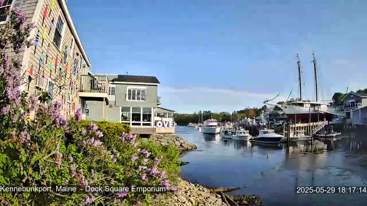 A harbor scene on a sunny day shows boats moored along a waterway, with buildings, including one decorated with colorful nautical flags, and lush lilac bushes in the foreground.
