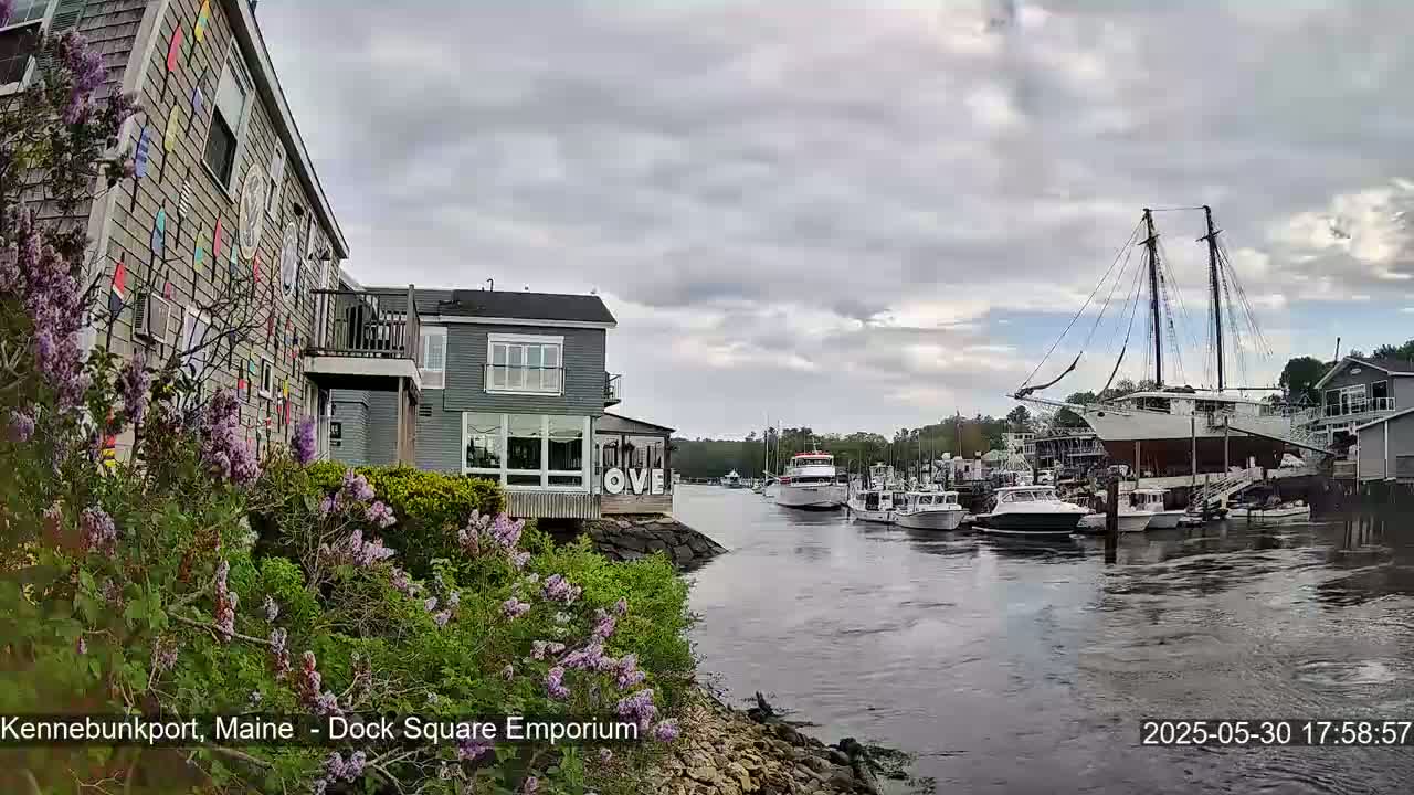 A waterfront scene on an overcast day shows a harbor with several boats, including a large sailboat, and buildings with lilac bushes in the foreground.