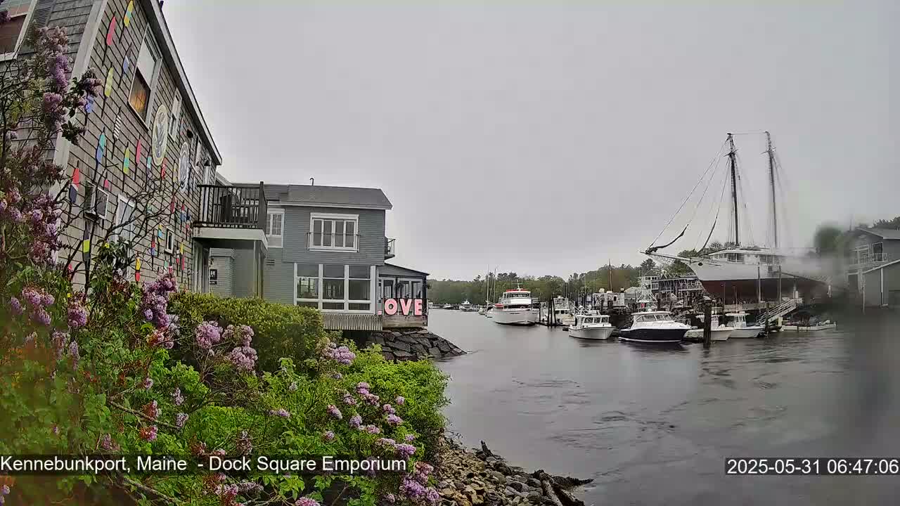 A harbor scene on an overcast day shows a variety of boats, including a large sailing vessel, docked near buildings, one of which is decorated with colorful nautical-themed artwork and purple flowering bushes.