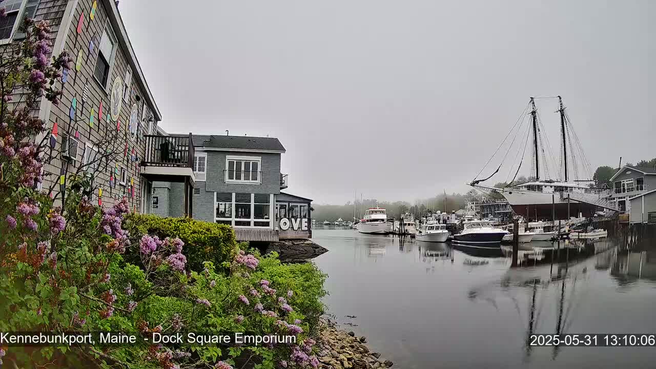 A waterfront scene on an overcast day shows a building with a colorful facade next to lilac bushes, with boats and a large sailboat docked in the harbor.