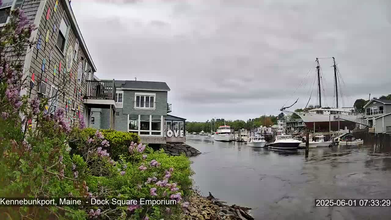 A harbor scene on an overcast day shows several boats docked, including a large sailboat, with buildings and purple flowering bushes lining the waterway.
