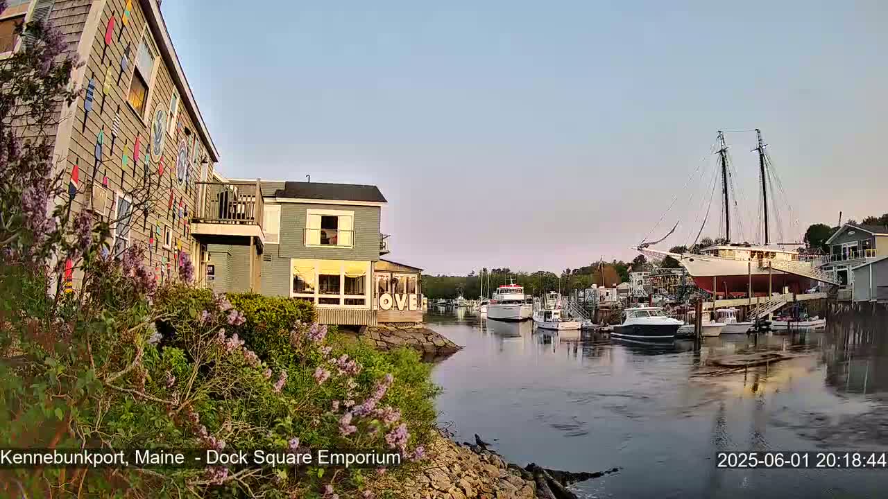 A calm harbor scene at dusk shows several boats moored near a waterfront building with colorful nautical flags on its side, lilac bushes in the foreground.