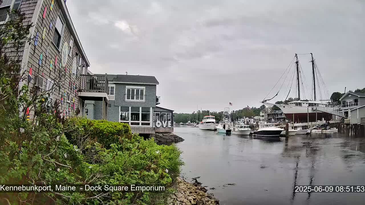 A harbor scene on an overcast day shows several boats moored along a waterfront with buildings and lush greenery.