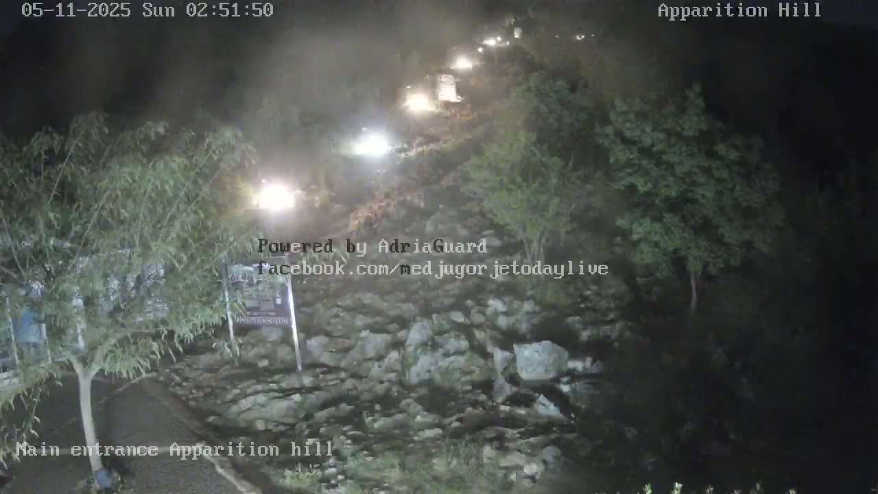 A nighttime, hazy view of a rocky, tree-lined path with several vehicles visible in the distance.
