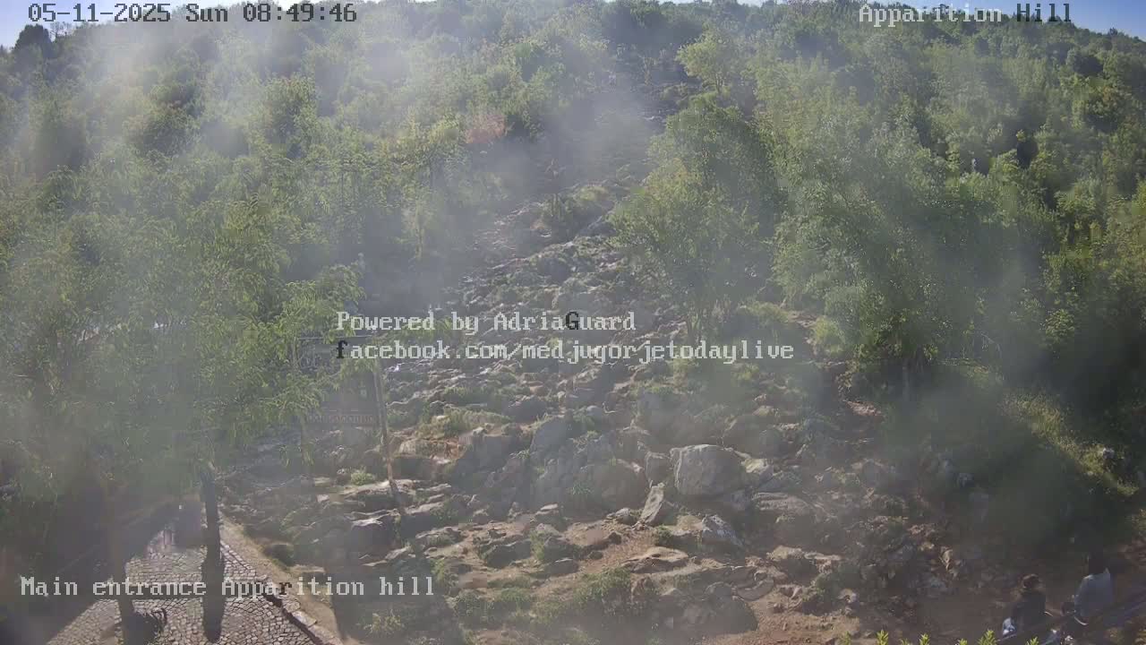 A hazy, sunny view of a rocky path leading up through a wooded hillside.
