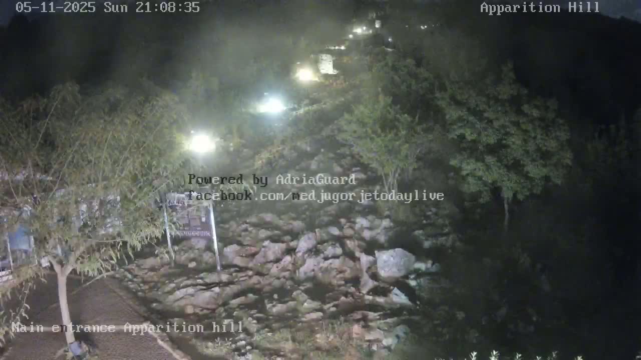 A nighttime view of a rocky area with trees and vegetation, illuminated by artificial lights, possibly a pathway, under a dark sky.