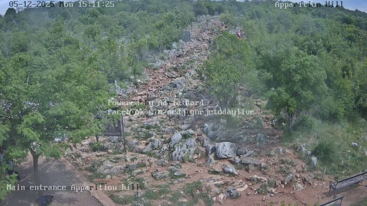 A rocky path winds uphill through a green, wooded area under an overcast sky.