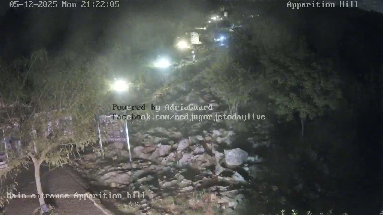 A nighttime view of a rocky hillside with sparse vegetation and a few lights visible in the distance.