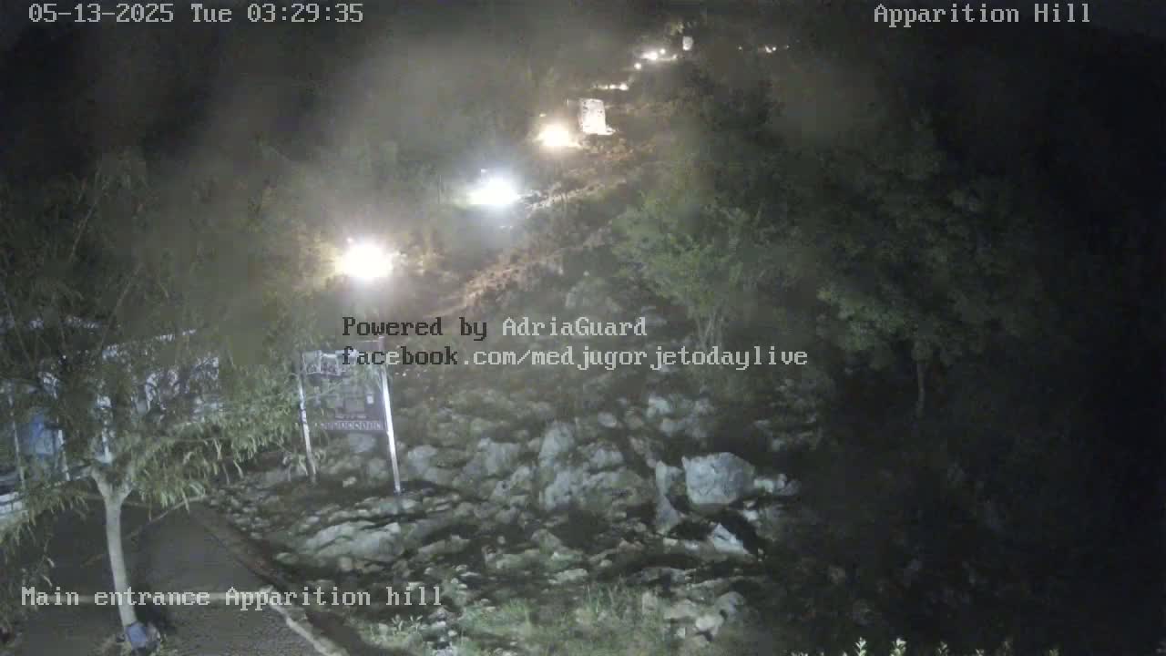 A nighttime, low-angle view shows a dark, rocky area with sparse vegetation and a few lights visible in the distance along a path.