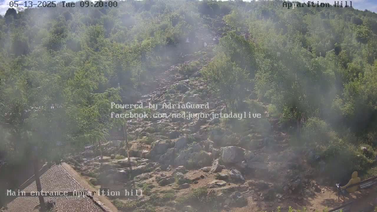 A hazy, rocky path winds upward through a lush, green hillside.