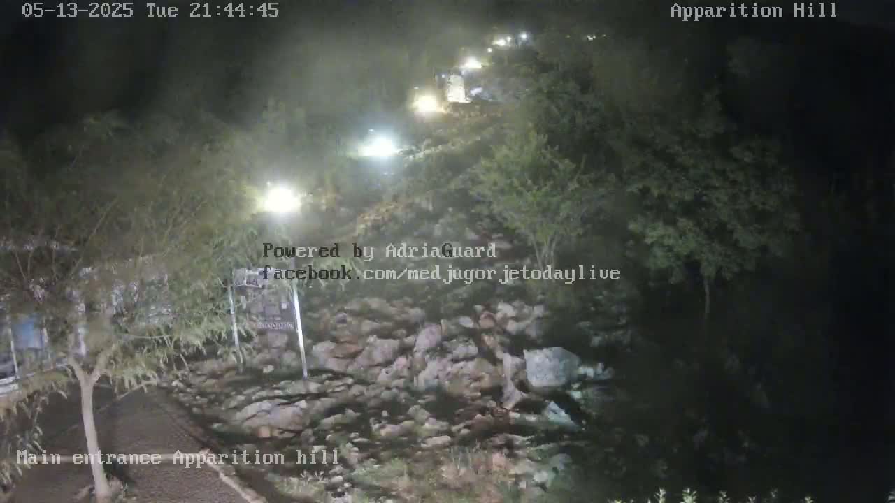 A nighttime, low-light view of a rocky path leading uphill through vegetation, illuminated by several artificial lights.